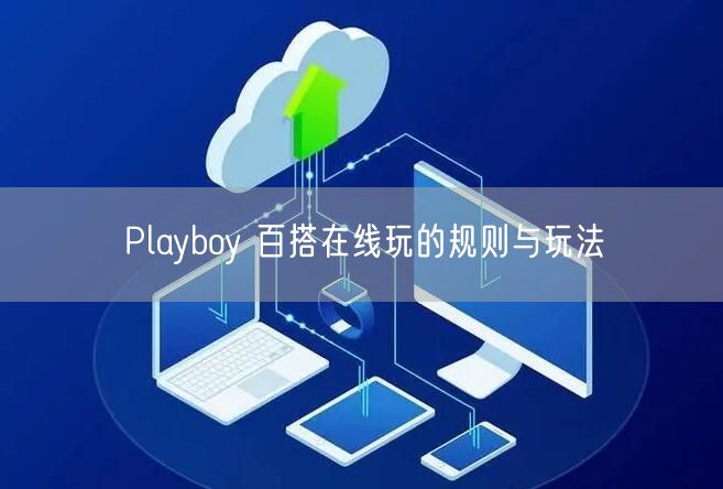 Playboy 百搭在线玩的规则与玩法